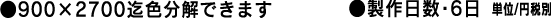 ●900×2700迄色分解できます ●制作日数・6日 単位円/税別